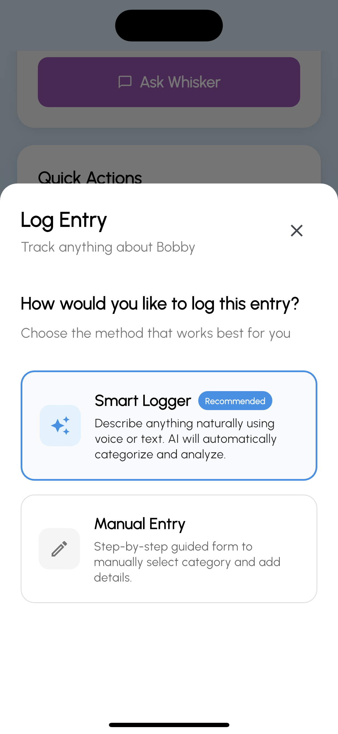 Chat with AI assistant